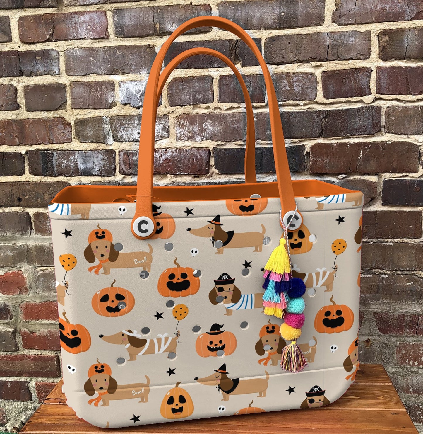 Ceeprints Cee™ Bag Dachshund Halloween Costume