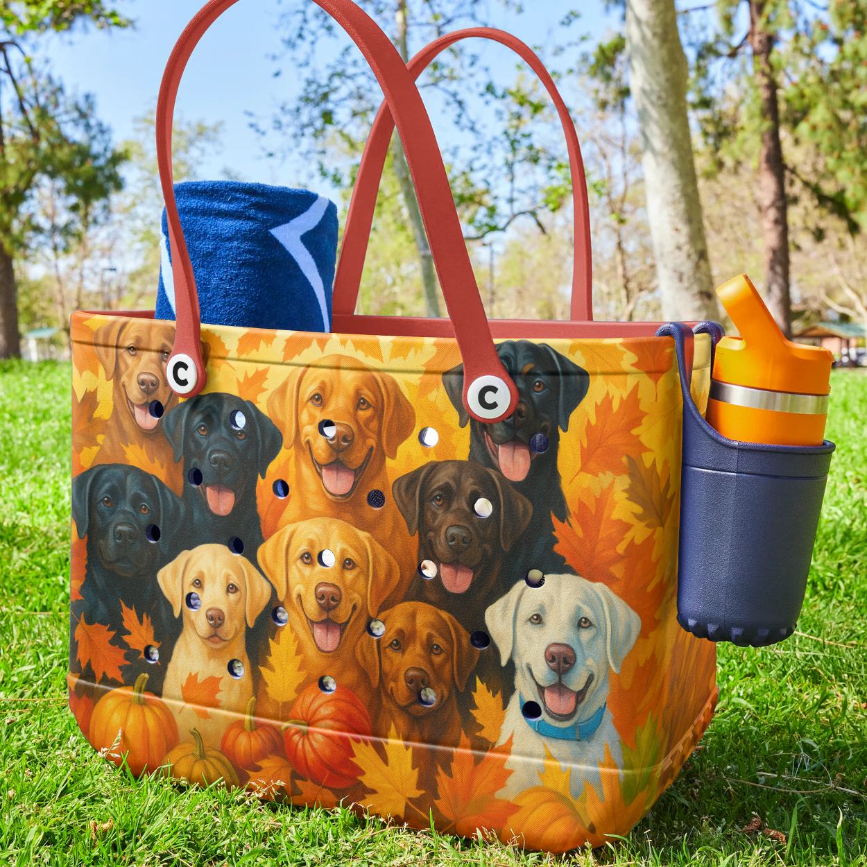 Ceeprints Cee™ Bag Tailgating Season