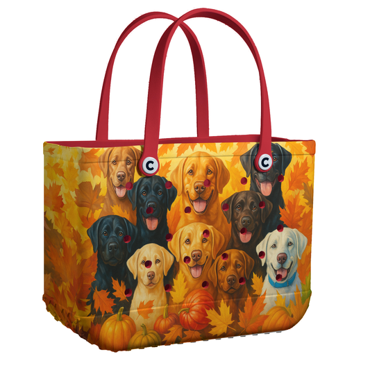 Ceeprints Cee™ Bag Tailgating Season